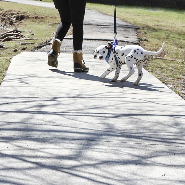 LC Apartments for Rent in St. Matthews, Kentucky