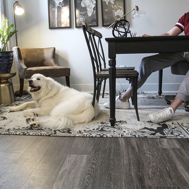 LC Apartments for Rent in Mount Juliet, Tennessee