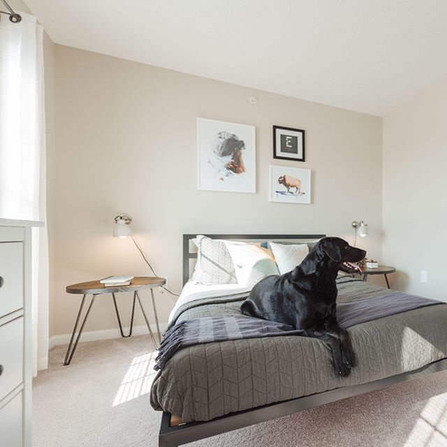 LC Apartments for Rent in Mount Juliet, Tennessee